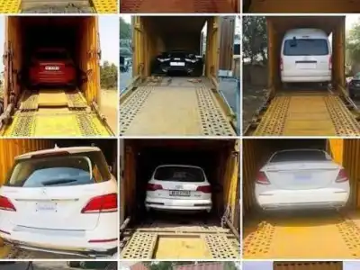 Bulk Car Transport